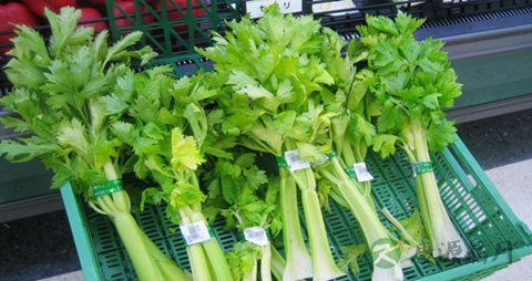 牙齿不好 吃什么