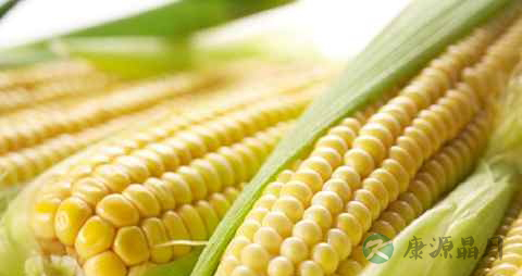 什么食物可以保护眼睛