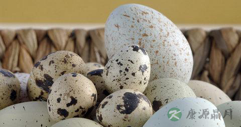 吃鹅蛋有什么好处 吃鹅蛋有什么好处