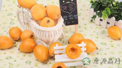 润喉润肺的食物