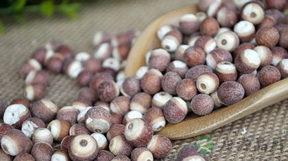 有效固精的七种食物