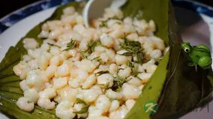 碧螺虾仁是哪里的菜