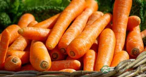 吃什么护理头发