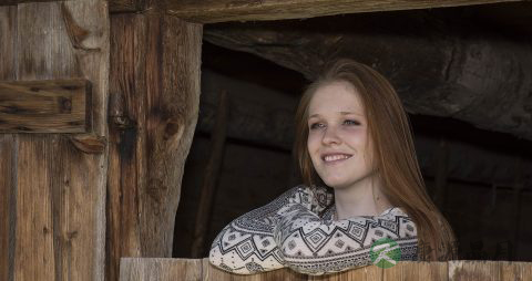 如何检验奶茶是否含奶