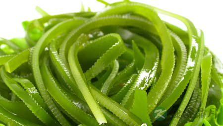 11种最常见的天然抗癌食物 11种最常见的天然抗癌食物