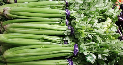 吃什么能去湿气 吃什么能去湿气