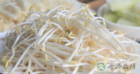 吃绿豆芽可以减肥