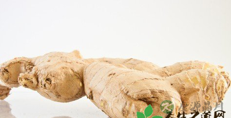 冬吃萝卜,夏吃姜 冬吃萝卜,夏吃姜