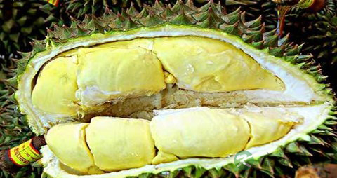 月经吃什么量多 月经吃什么量多