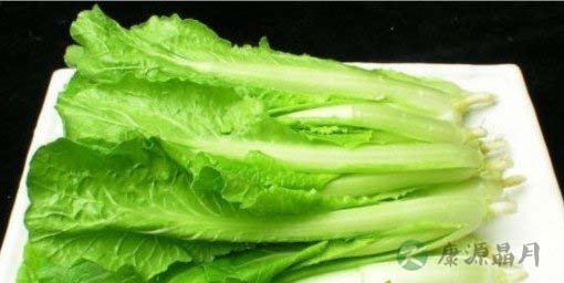 抵御花粉过敏饮食宝典 抵御花粉过敏饮食宝典