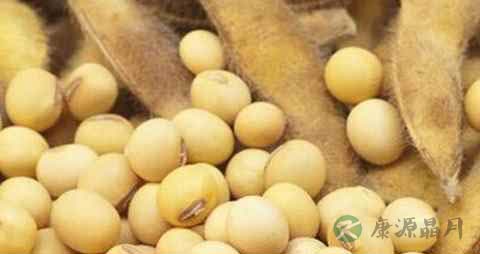 吃什么有助于增强记忆力