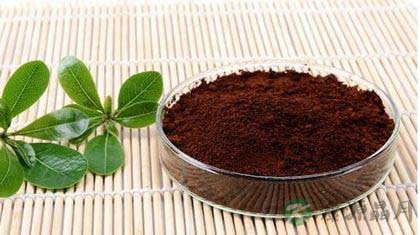 月经期能吃灵芝孢子粉吗 月经期能吃灵芝孢子粉吗