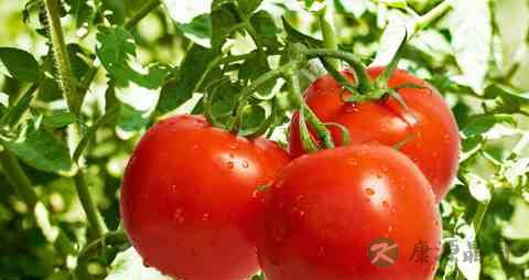 化疗脱发怎么办