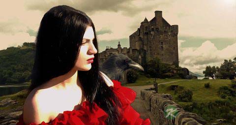 七款防止脱发的食物 七款防止脱发的食物