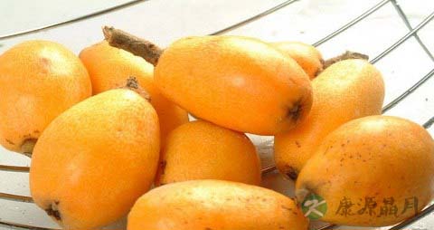 润喉润肺的食物 润喉润肺的食物