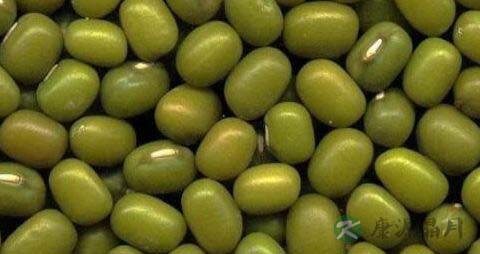 什么食物可以生津