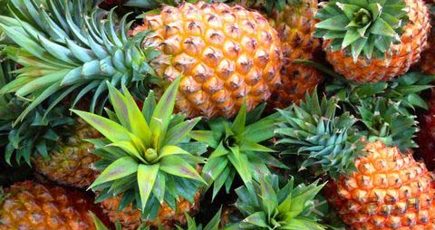 菠萝吃多了会怎样 菠萝吃多了会怎样