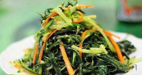 苦菜常见的七种吃法 苦菜常见的七种吃法