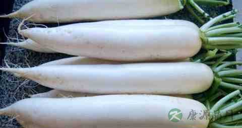 吃什么东西润喉 吃什么东西润喉