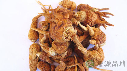 玛咖的功效及吃法