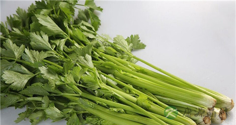 什么东西可以美白牙齿