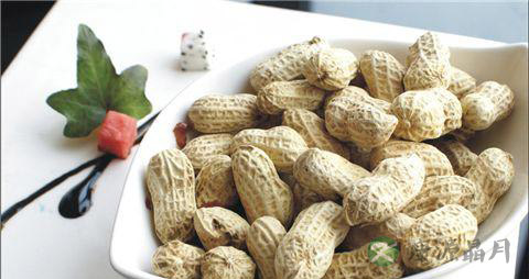 冬天吃什么可以御寒