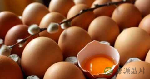 静脉血栓吃什么食物好