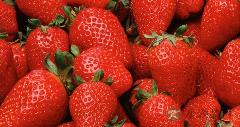 骨折病人多吃什么