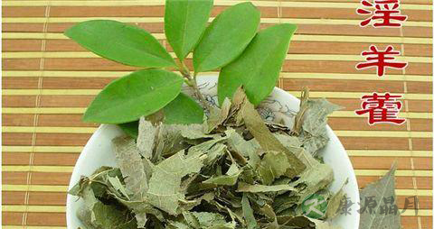 淫羊藿的配伍 淫羊藿的配伍