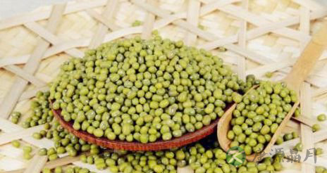 降血压蔬菜 降血压蔬菜