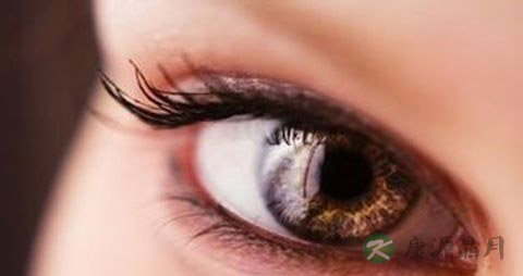 吃鱼对眼睛好吗 吃鱼对眼睛好吗