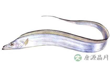 巧用带鱼做美味