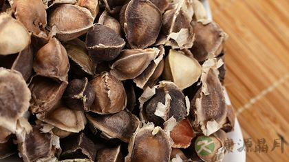 吃辣木籽减肥吗 吃辣木籽减肥吗