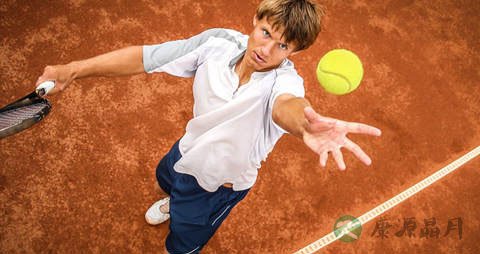 舌尖上的美食 名人最爱的营养“蒸食”