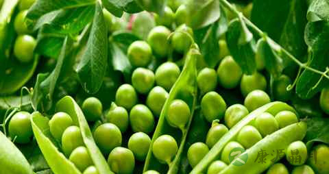 吃什么清血脂 吃什么清血脂