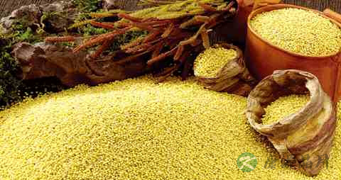 吃什么提高孩子的记忆力