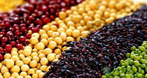 补头发吃什么 补头发吃什么