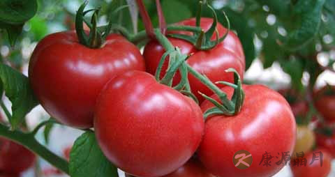 孕妇吃什么增强抵抗力 孕妇吃什么增强抵抗力