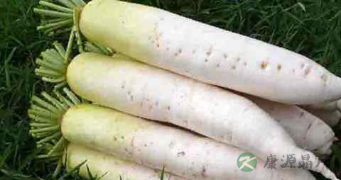 耳鸣饮食注意什么