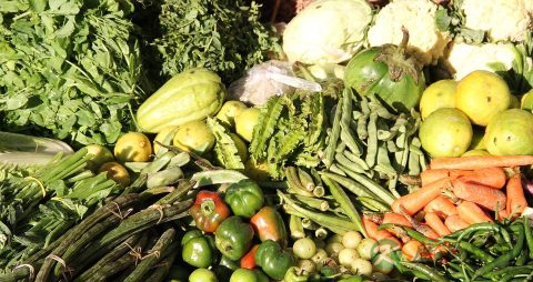 蔬菜有什么营养功能