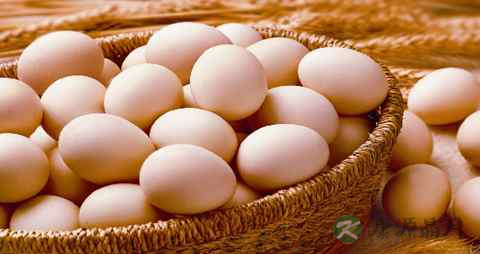 男人吃什么能补肾壮阳 男人吃什么能补肾壮阳