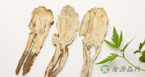 何首乌泡酒配方 何首乌泡酒配方