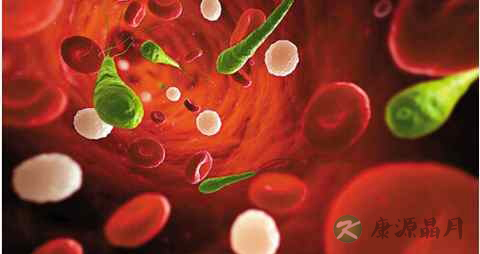 血脂稠吃什么油好 血脂稠吃什么油好