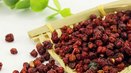 南北五味子的区别