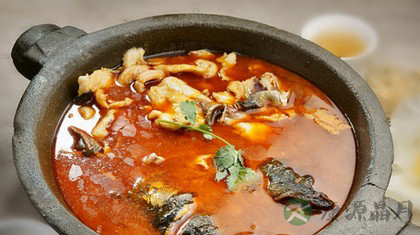 石锅鱼是哪里的菜 石锅鱼是哪里的菜