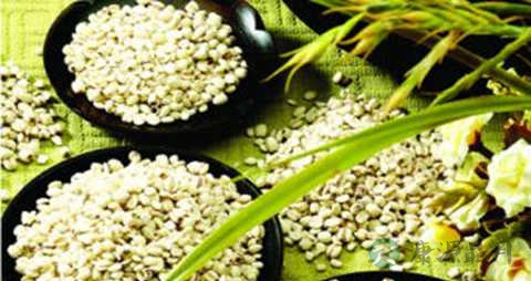 吃什么食物能降血压 吃什么食物能降血压