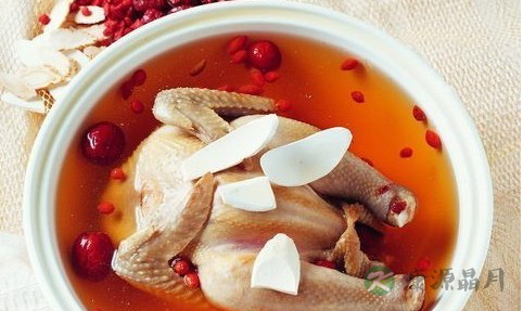 一鸽胜9鸡 鸽肉功效高