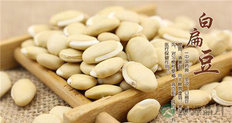 夏季吃什么清热祛湿