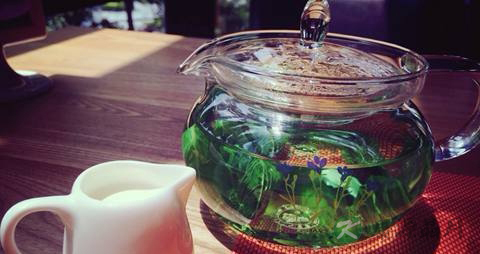 清热解毒的凉茶有哪些