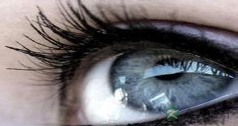 眼睛干涩吃点什么